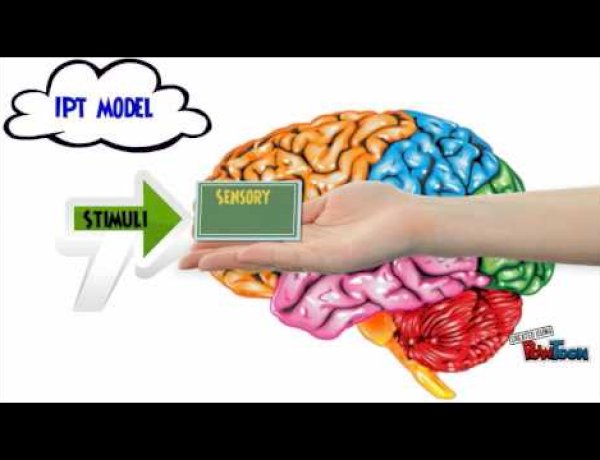 Information Processing In Cognitive Psychology
